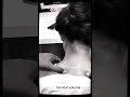 Cervical Hump? Try This Self-Massage Technique👈 ll #shorts #youtubeshorts #facts #cervical #viral