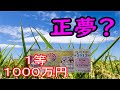 宮城県産の新ブランド米だて正夢が絵柄の宝くじで高額当選はでる！？【第２５１２回関東、中部、東北自治当選結果発表】