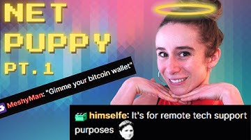 Coding a NetCat Clone: NetPuppy Dev Log 1