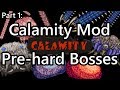 Modded Terraria - Calamity Pre-Hardmode Boss Speedkill (Revengeance Mode)