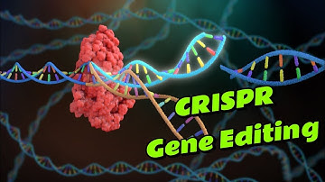 CRISPR: Rewriting the Code of Life -
