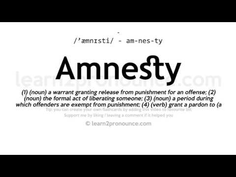 Pronunciation of Amnesty | Definition of Amnesty