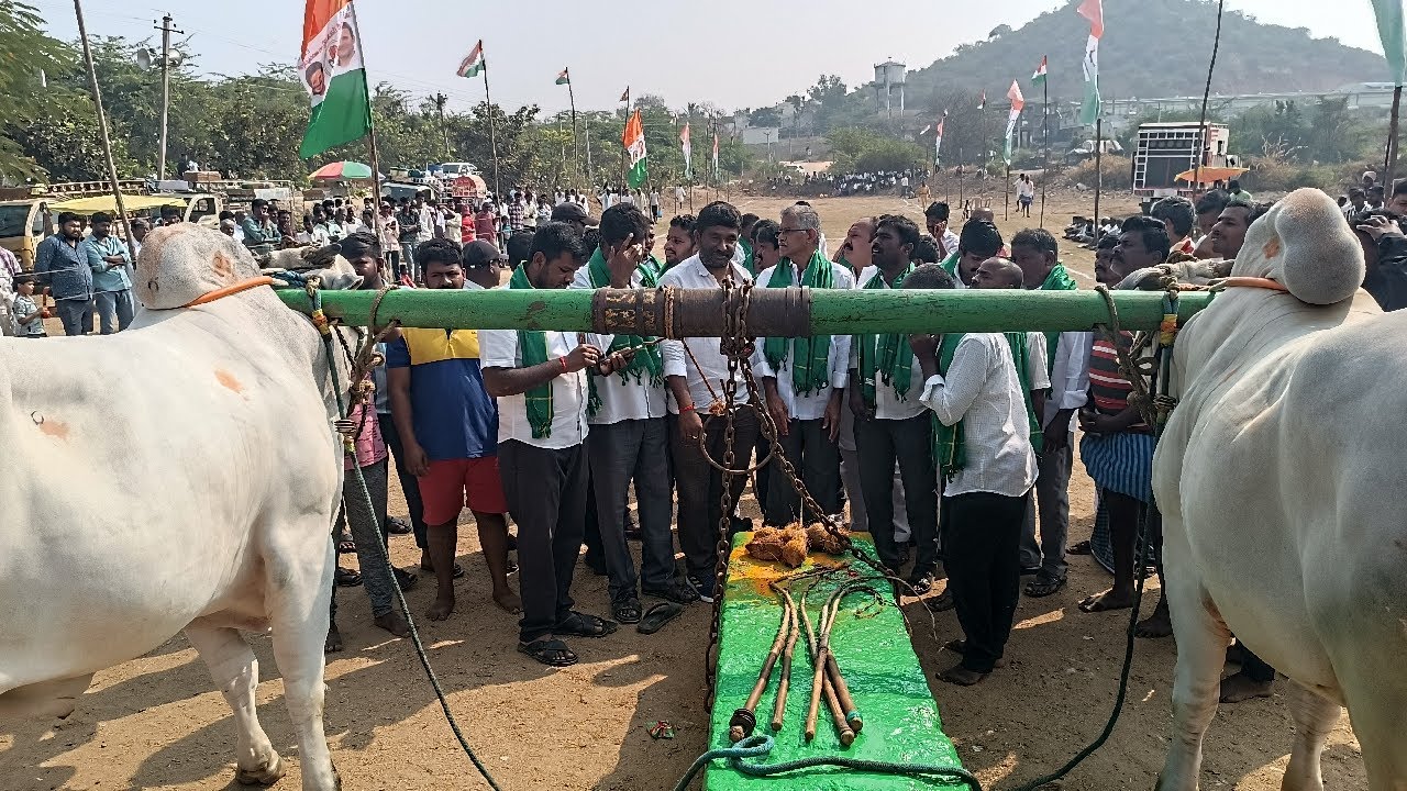 కోడేరు సీనియర్ విభాగం బండలాగుడు పోటీలు 1వ జత smd బ్రదర్స్ సయ్యద్ ఇమ్రాన్ పాషా సయ్యద్ కలం పాషా