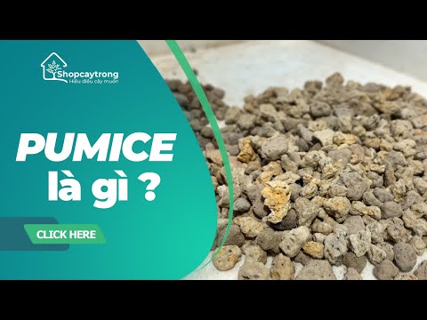 Video: Đá bọt núi lửa được sử dụng để làm gì?