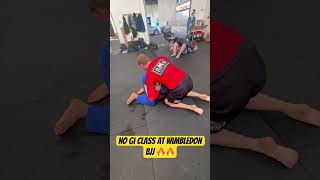 | No Gi Classes At Wimbledon BJJ | Train At Wimbledon BJJ | #shorts #nogi #nogijiujitsu