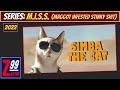 M I S S 228 SIMBA THE CAT A 51 GB Install Of Cobbled Unreal Assets With Zero Challenge Fun 