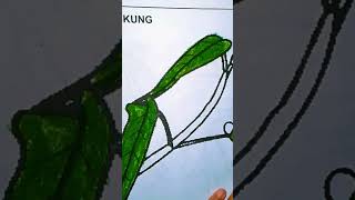 Mewarnai kangkung