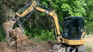 Tree and Stump removal with Dirt Perfects cat 304!!!