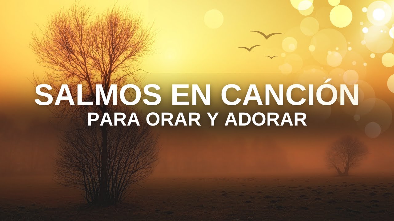 🙏 5 Salmos para Orar, SANAR y Descansar en Dios | En música suave 🤍 ...
