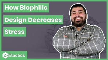 How Biophilic Design Decreases Stress