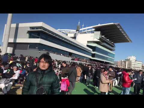 2019 大井競馬場 東京大賞典