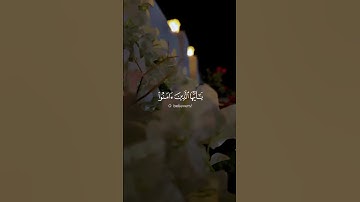 سورة الاحزاب #اكسبلور #القران #الصلاه #القاريء
