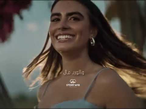 عمال تعلى الذوق بذوقك العالى محمد منير