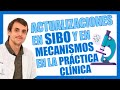 🔬 Actualizaciones en SIBO. Nuevos Mecanismos implicados en la Práctica Clínica / 👨‍⚕️ Néstor Sánchez