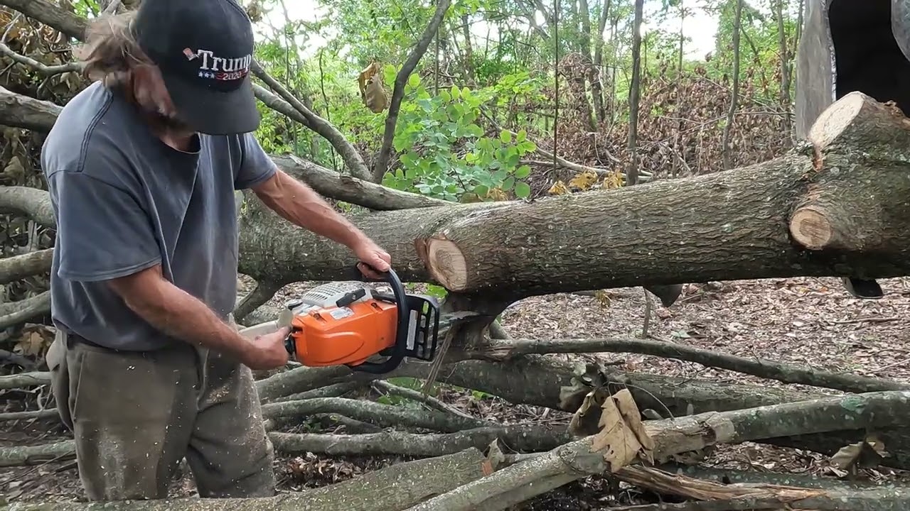 Harvesting Tree Tops For Firewood YouTube