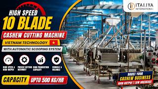Vietnam की सबसे तेज Cashew Cutting Machine देखिए