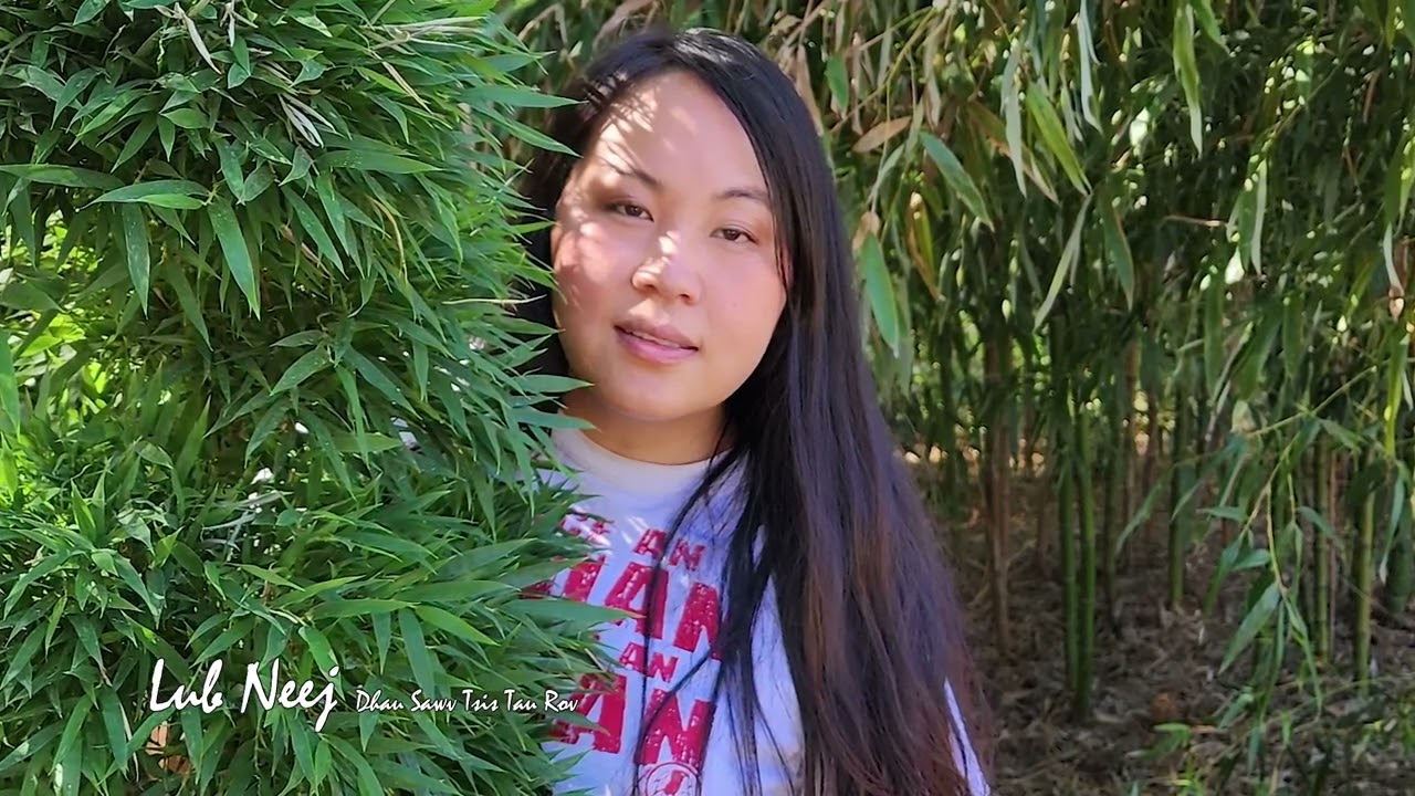 Lub Neej Dhau Sawv Tsis Tau Rov. 11/4/2022