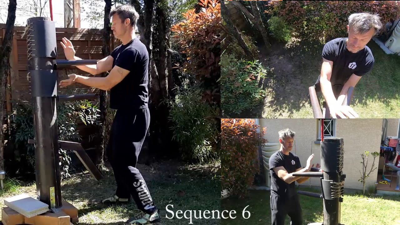 Mannequin De Bois Wing Chun Le Bon Coin