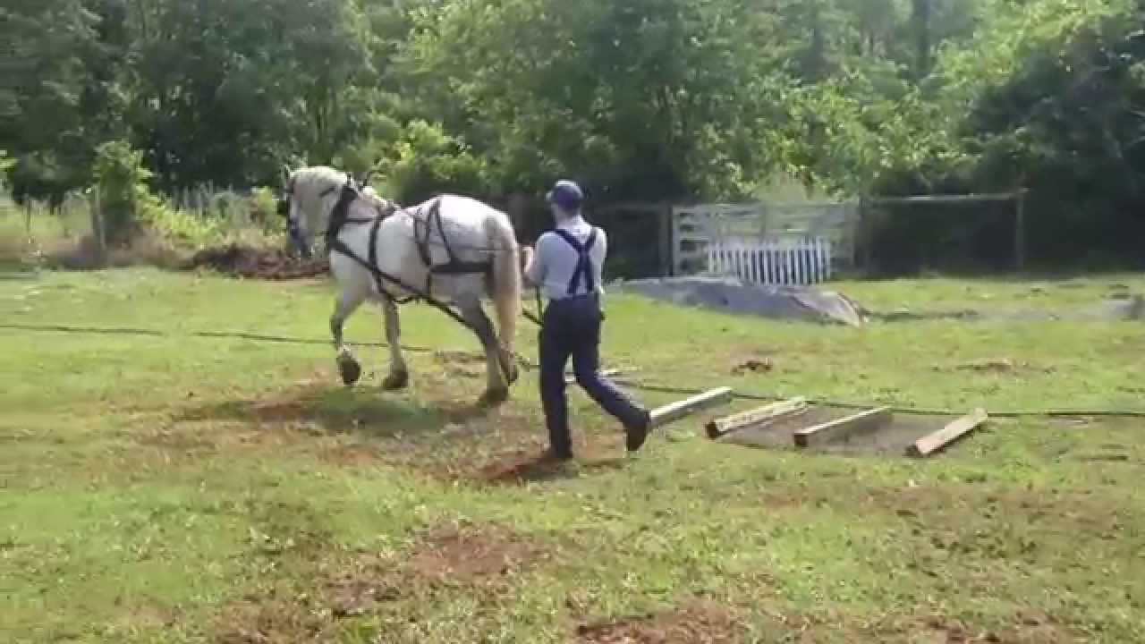 pasture drag pasture drag