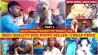 Galiff Street Quality Dog Puppy Seller|गालिफ़ स्ट्रीट डॉग सेलर|Cheap Price|Price Negotiable| 28/04/24