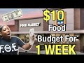 Groceries For 1 Week With ONLY $10  At Aldi | $10 Budget