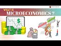 What is Microeconomics?