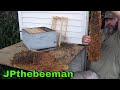 Bee Man Vs Stubborn Bees In Shed Floor