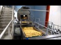 Haith - Potato washing & Packing