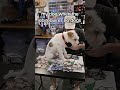 always there to help with sorting cards! #magic #magicthegathering #mtg #edh