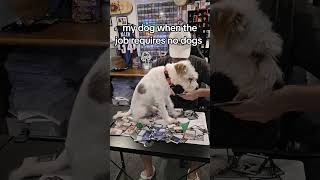 always there to help with sorting cards! #magic #magicthegathering #mtg #edh