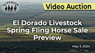 El Dorado Livestock Auction Spring Fling Horse Sale Preview