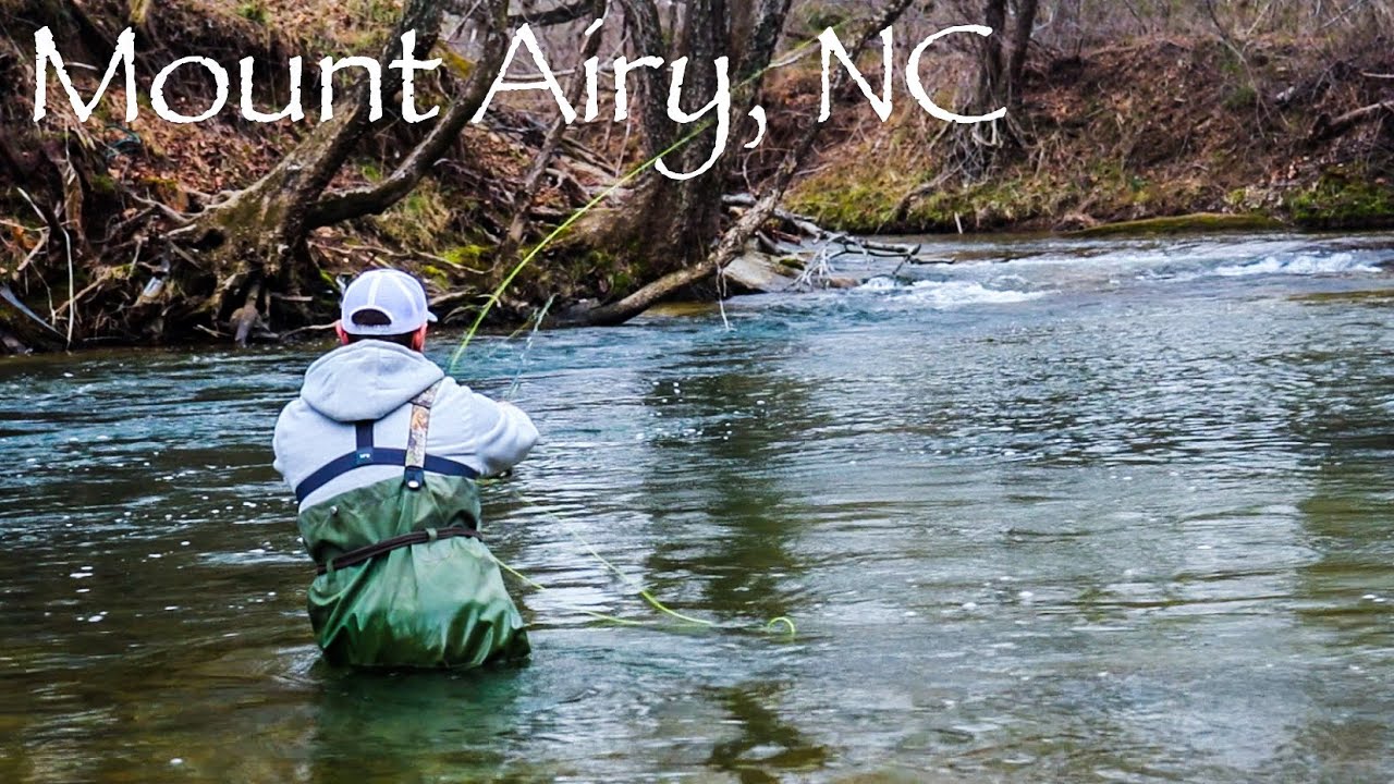Fly Fishing The Ararat River in Mt Airy, NC YouTube