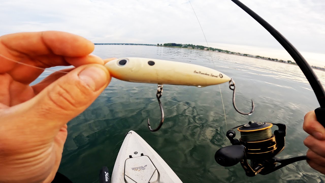 Top Water Spook Striped Bass Weekend Warrior YouTube