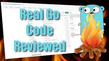 Go Code Roast