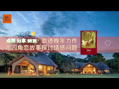 《亲和力》歌德晚年力作，用四角恋故事探讨情感问题【youtube字幕】| 好书精读推荐，见识决定格局，读书改变命运