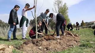 Alumnos y políticos plantan arboles por el Día Forestal Mundial