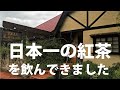 日本一の紅茶を楽しんできました