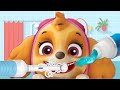 Put On Your Shoes Song Morning Routine Brush Teeth Nursery Rhymes Children, Kids and Paw Patrol