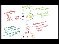 Basic Principle of Biotechnology for Class 12