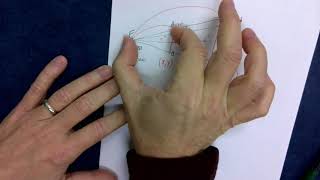 Geo A 4 5 Dilations