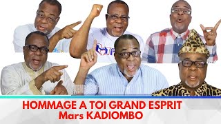 HOMMAGE AU GRAND BAOBAB MARS KADIOMBO