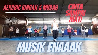 Aerobik ringan & mudah cocok buat emak² By Anna Farida