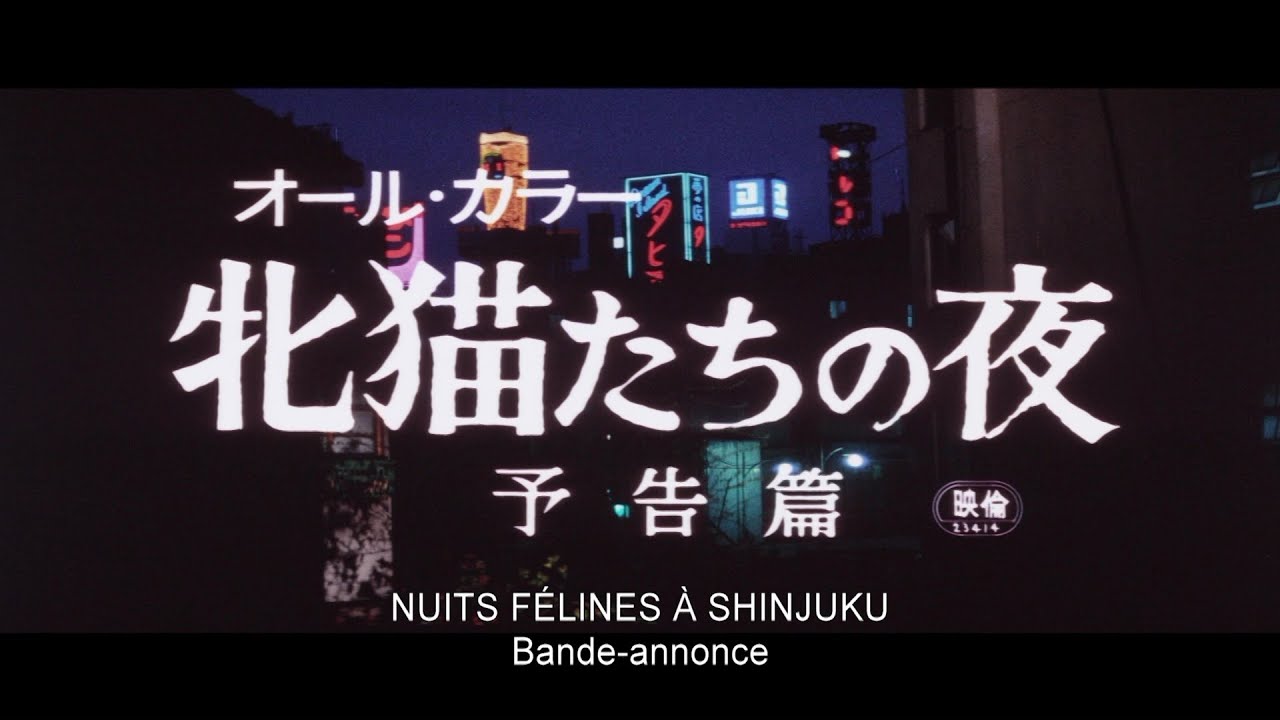 Nuits félines à Shinjuku (Mesunekotachi no yoru - 1972) - Bande annonce