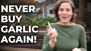 Garlic Planting Tips: Grow More Garlic This Year