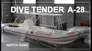 APEX BOATS - The best dive boat - Fully custom built for Pelican Scuba in Puerto Rico
