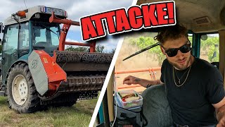 STAUB ernten 💨 Forstmulcher EINSATZ 🚜🪵🌳| Weinbau 🍇🍷