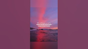 تلاوة خاشعة من القرآن الكريم 🌷 بصوت جميل رعد الكردي حالات واتس اب دينية قصيرة مؤثرة 💙 Quran status
