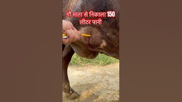 Hydroallantois l dr Umar Khan