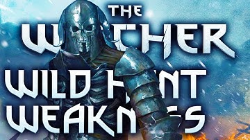 Witcher The Wild Hunt