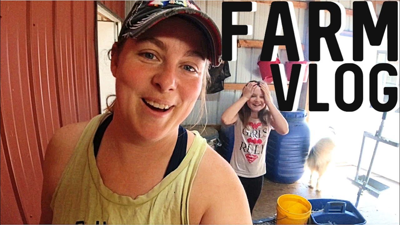 A Sudden Goodbye 🦆 | A Shocking Request 🐐| Homestead Family Vlog - YouTube